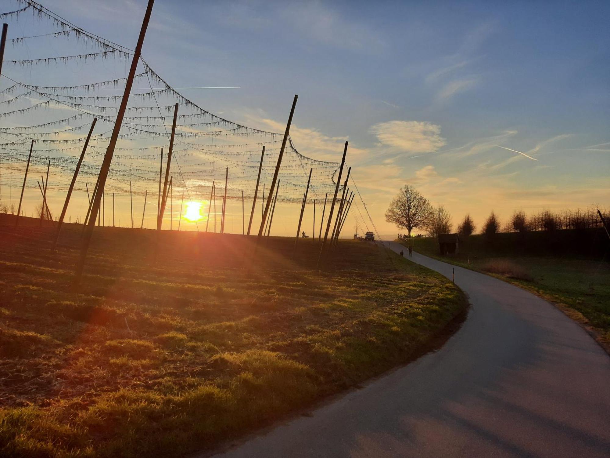Am Dorfweiher Tettnang Exterior foto